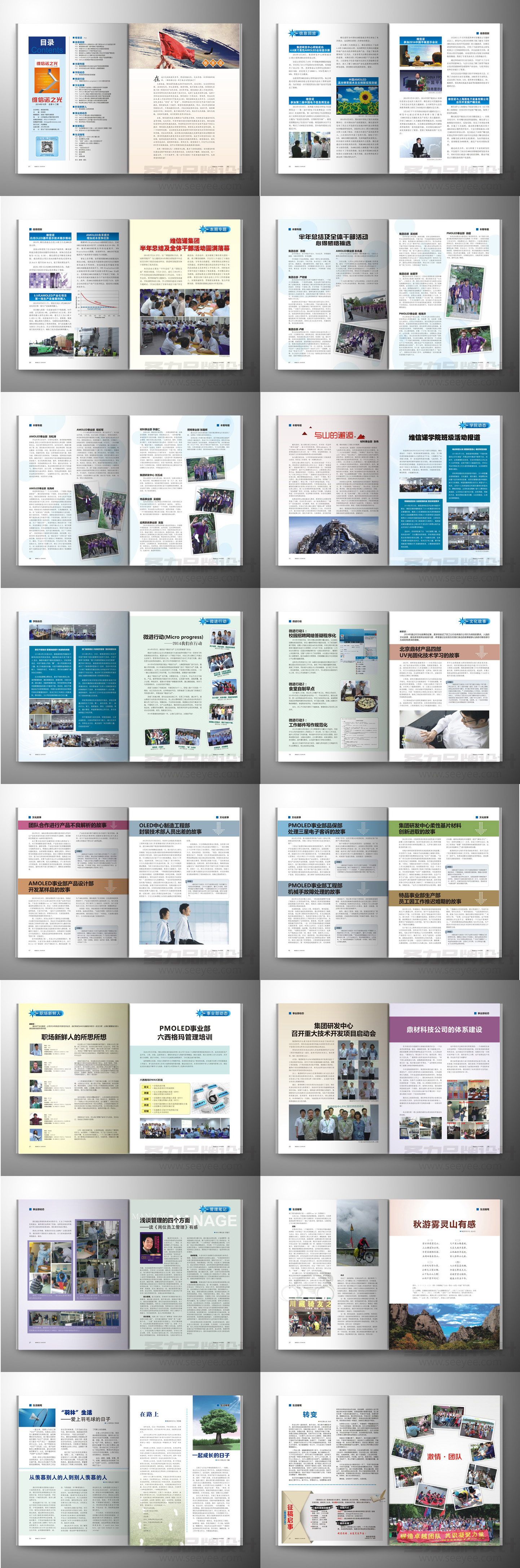 维信诺之光副本 拷贝.jpg