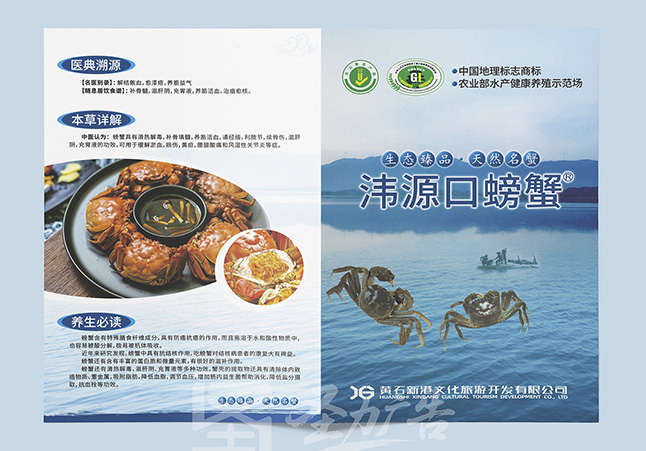 韦源口螃蟹双折页设计印刷